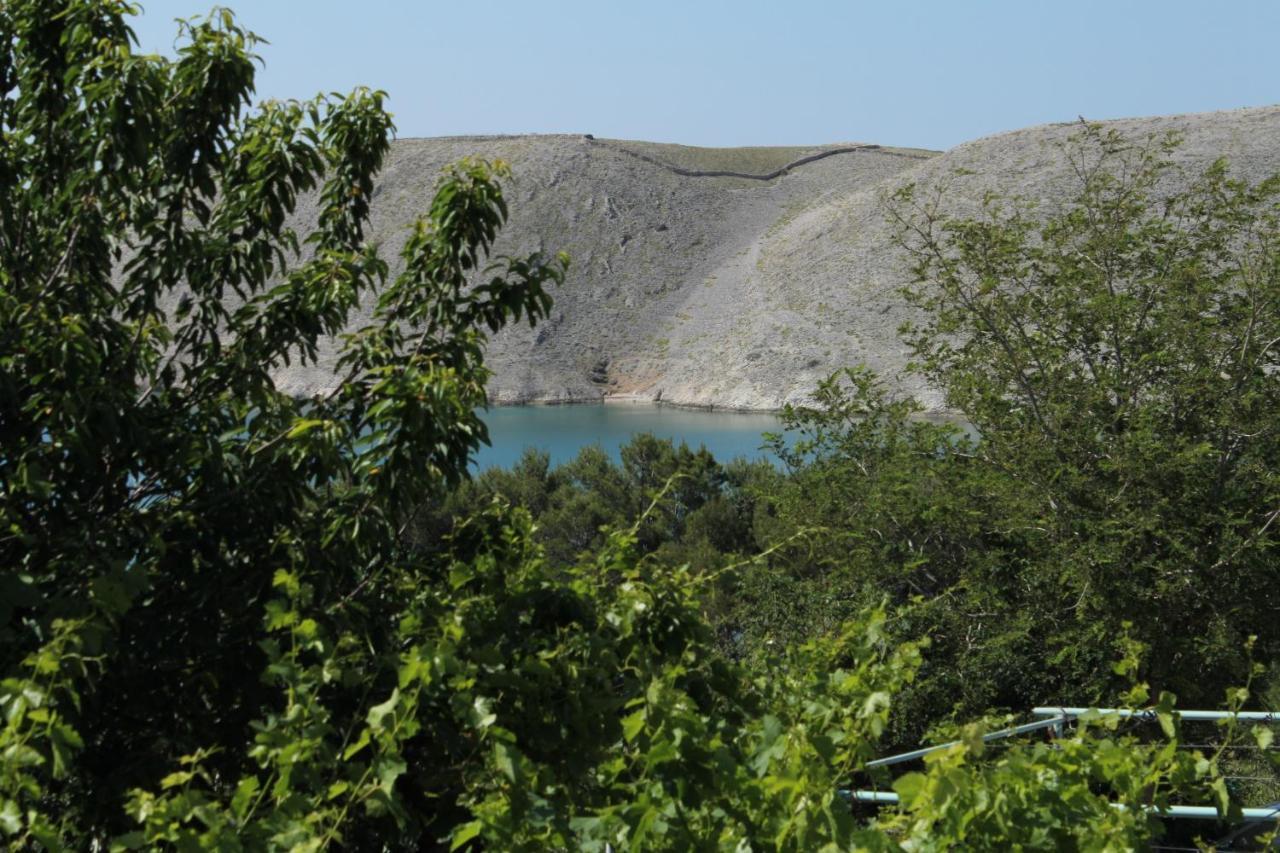 Family Friendly Seaside Apartments Vlasici, Pag - 4319 Exterior foto